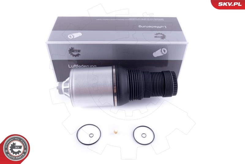 Air Spring, suspension